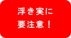 浮き実