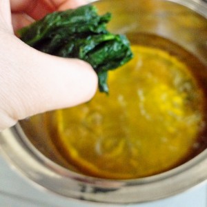 foodpic5073670