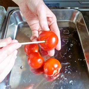 foodpic5087221
