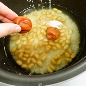 foodpic5092444