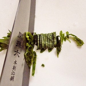 foodpic5092455